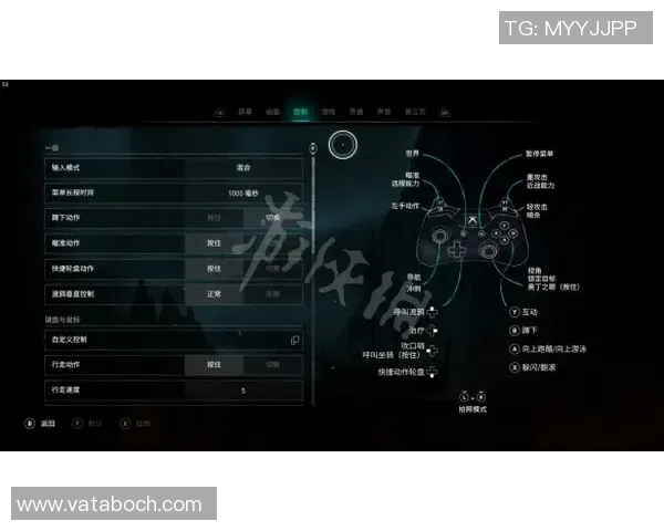 仰泳比赛规则详解与技巧分析 探索运动员在水中表现的关键要素