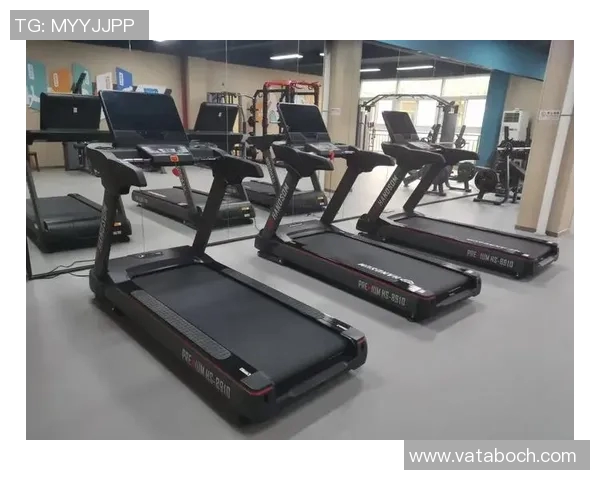 全面解析健身器材的种类功能及其选择技巧助你打造完美身材