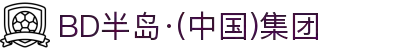 BD半岛·(中国)集团