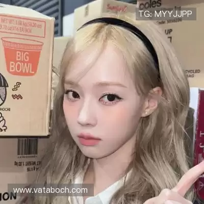 司达蕾